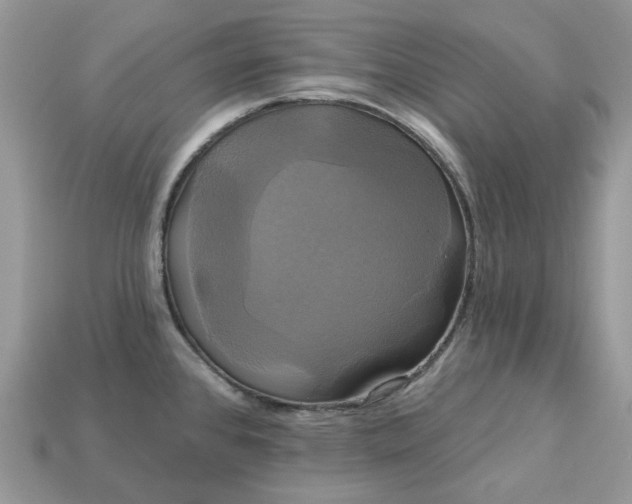 X0000113051384200909101930