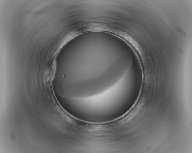 X0000113051385200909101930