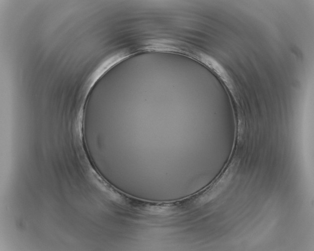 X0000113051386200909101930