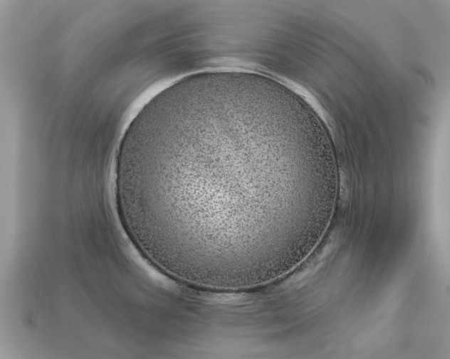 X0000113051387200909101930