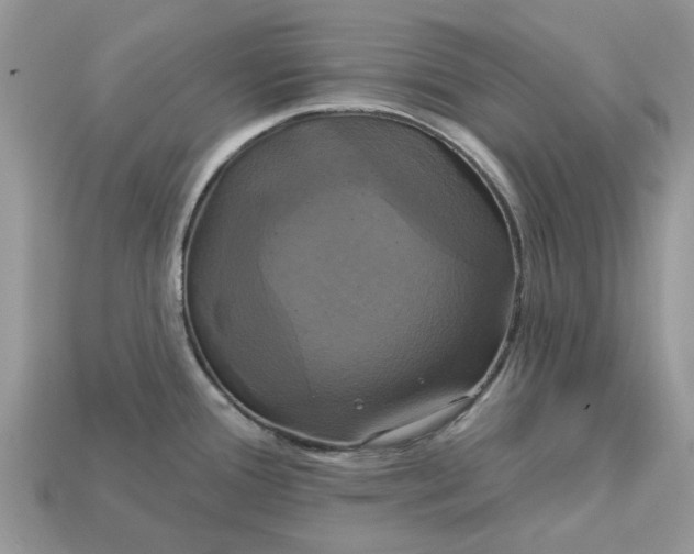 X0000113051388200909101930