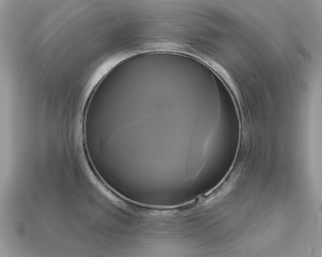 X0000113051389200909101930