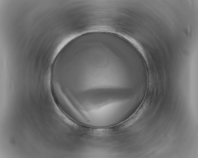 X0000113051390200909101930