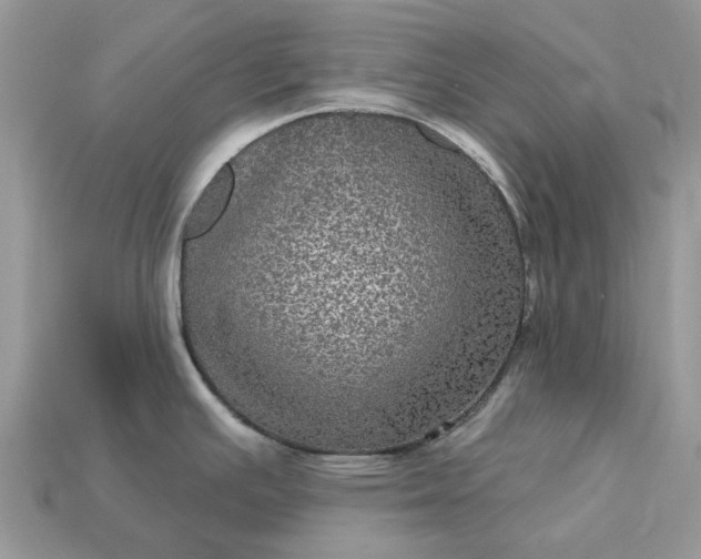 X0000113051391200909101930