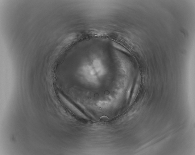 X0000113051393200909101929