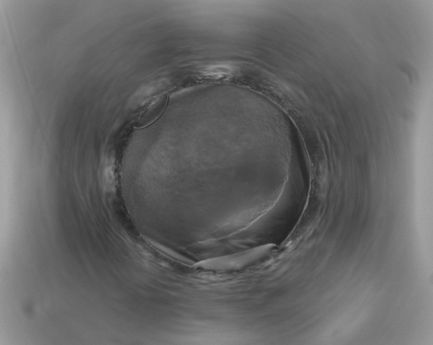 X0000113051394200909101929