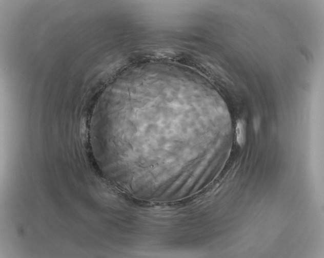 X0000113051395200909101929