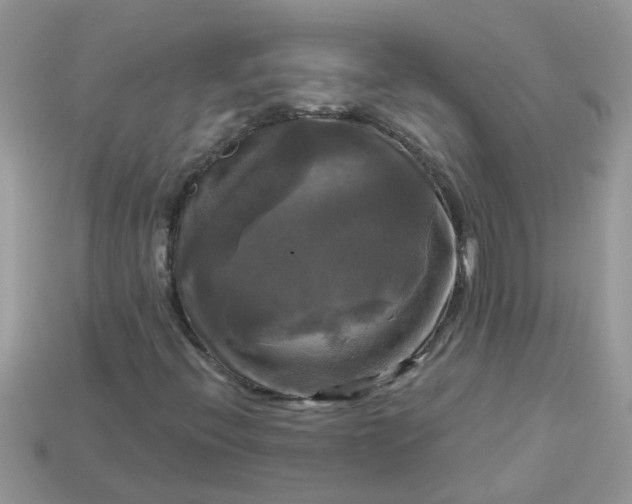 X0000113051396200909101929