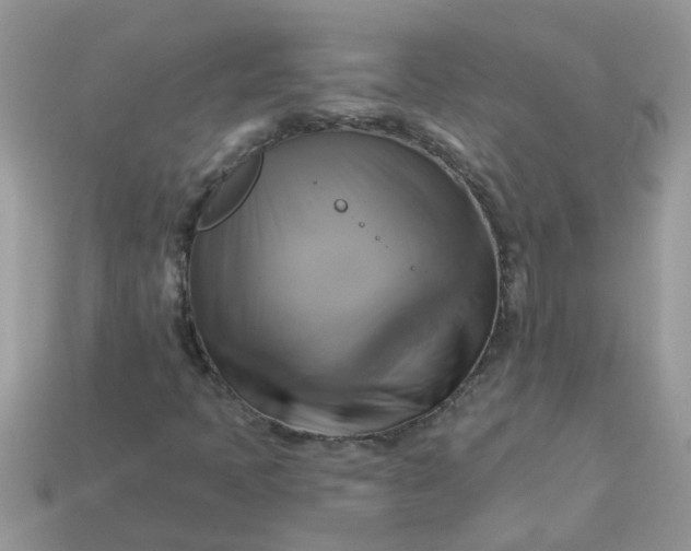 X0000113051397200909101929