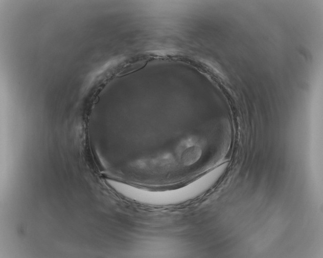 X0000113051398200909101929