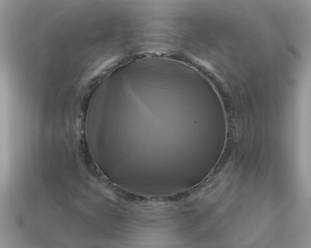 X0000113051399200909101929