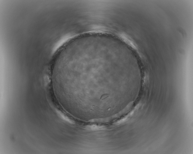 X0000113051400200909101929