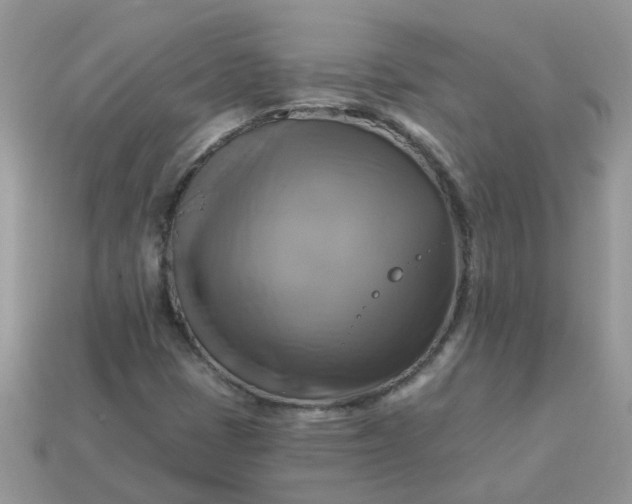 X0000113051401200909101929