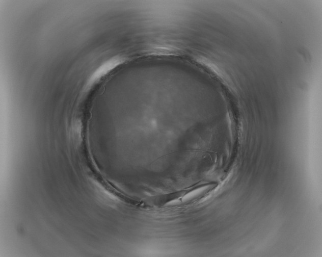 X0000113051402200909101929