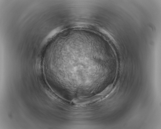 X0000113051403200909101929