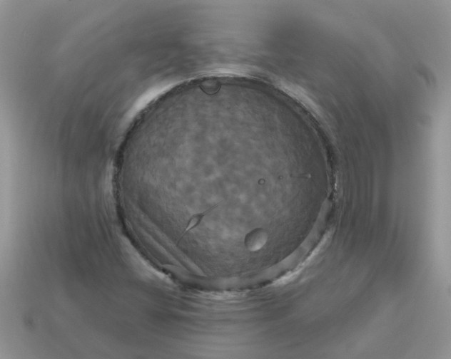 X0000113051404200909101929