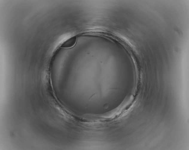 X0000113051405200909101929