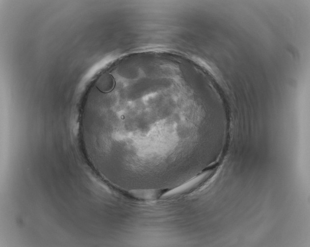 X0000113051406200909101929