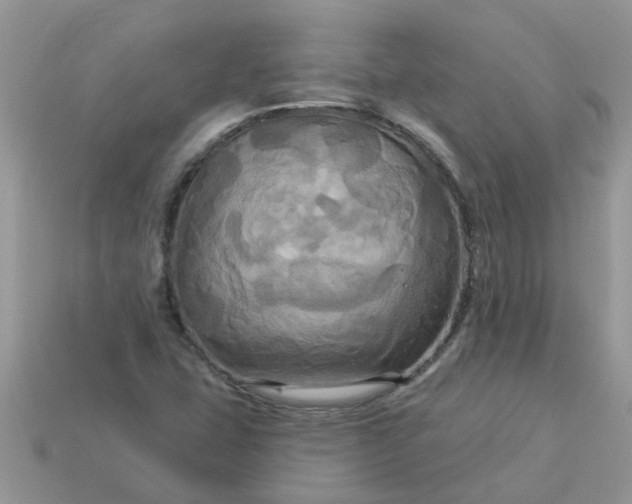 X0000113051407200909101929