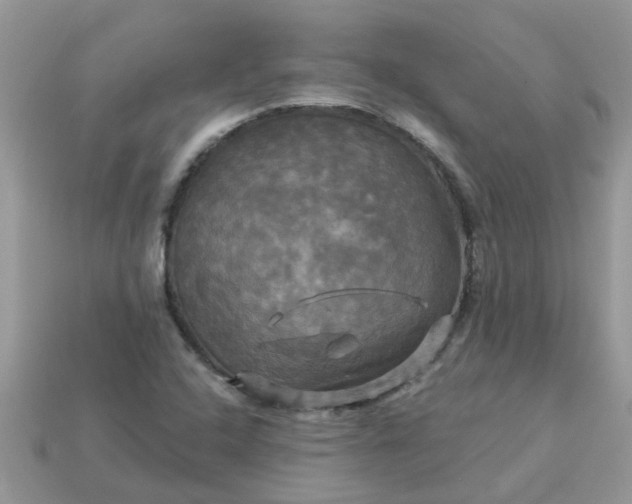 X0000113051408200909101929