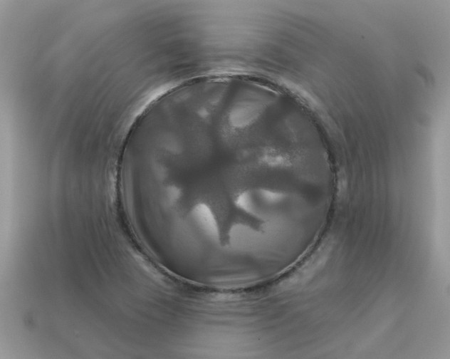 X0000113051409200909101929