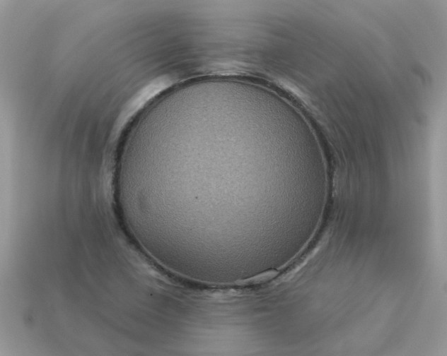 X0000113051410200909101929