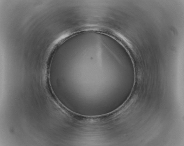 X0000113051411200909101929