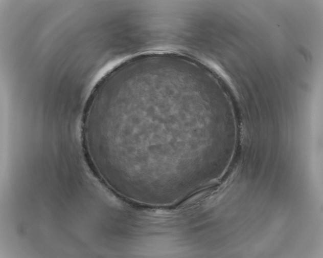 X0000113051412200909101929