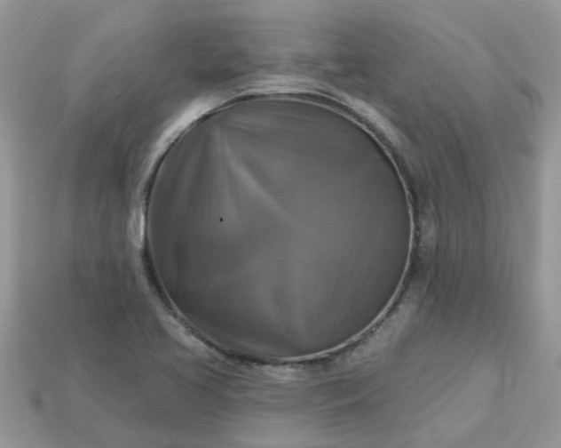 X0000113051413200909101929