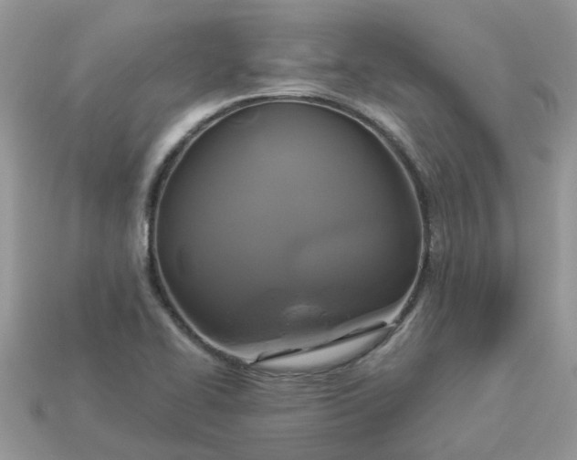 X0000113051414200909101929