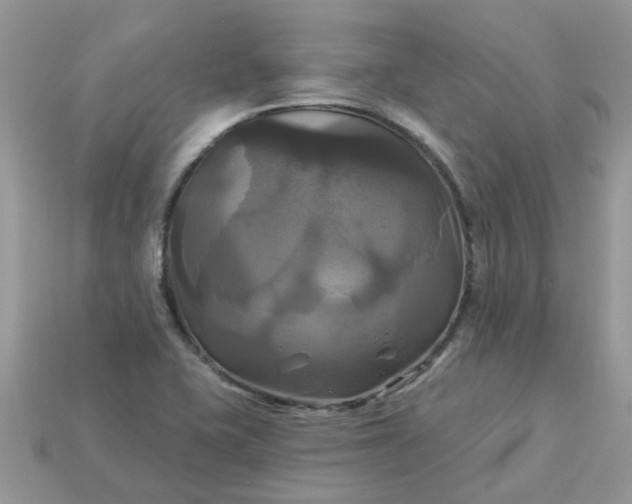 X0000113051415200909101929