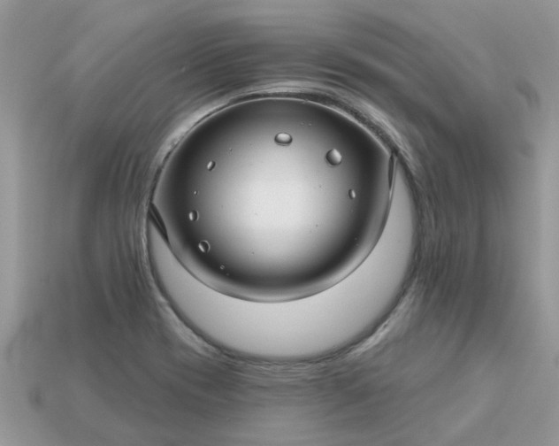 X0000113051417200909101930