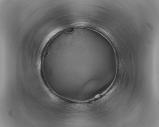 X0000113051418200909101930