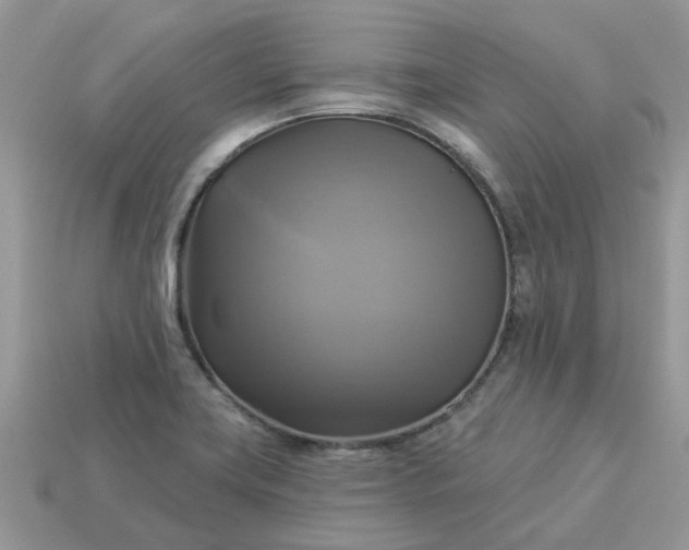 X0000113051419200909101930