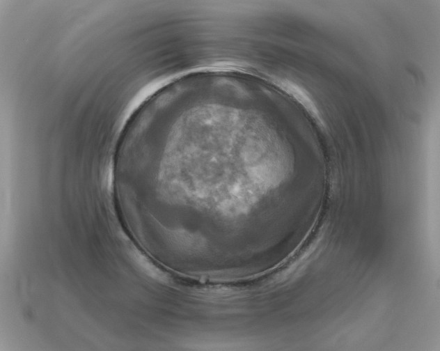 X0000113051420200909101930