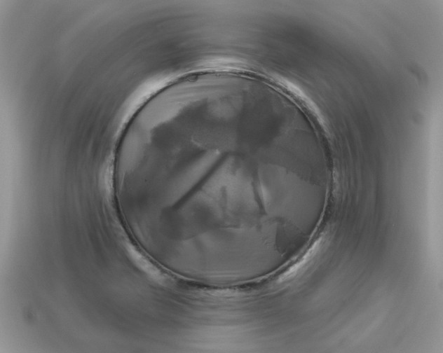 X0000113051421200909101930