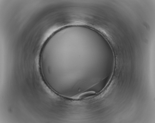 X0000113051422200909101930