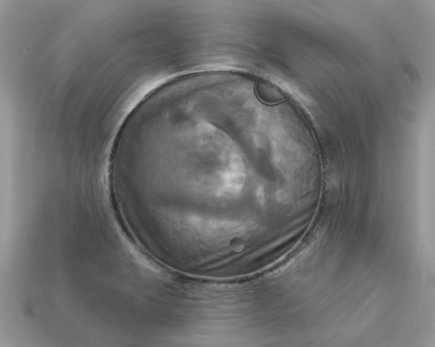 X0000113051423200909101930