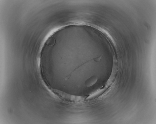 X0000113051424200909101930