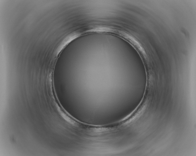 X0000113051425200909101930