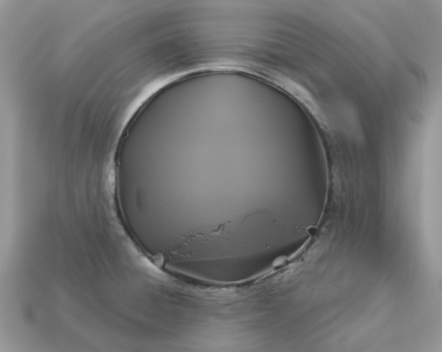 X0000113051428200909101930