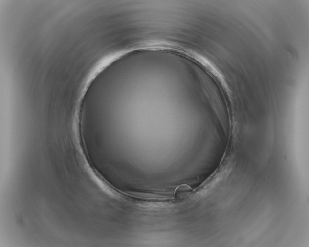 X0000113051429200909101930