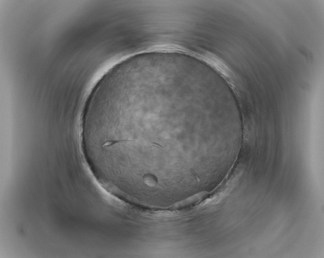 X0000113051430200909101930