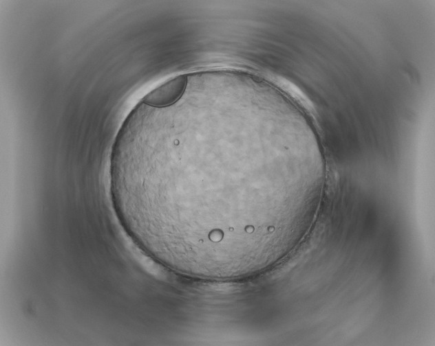 X0000113051431200909101930