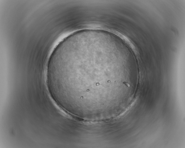 X0000113051432200909101930