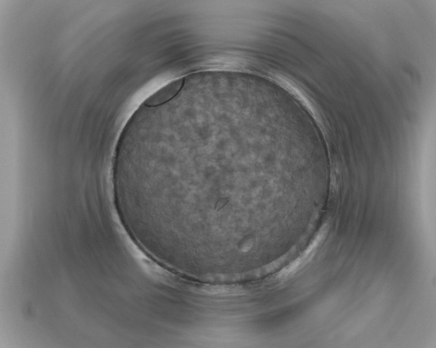 X0000113051434200909101930