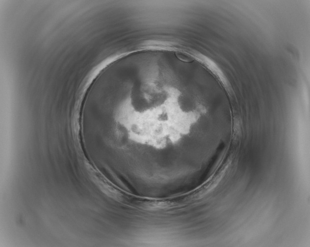 X0000113051435200909101930