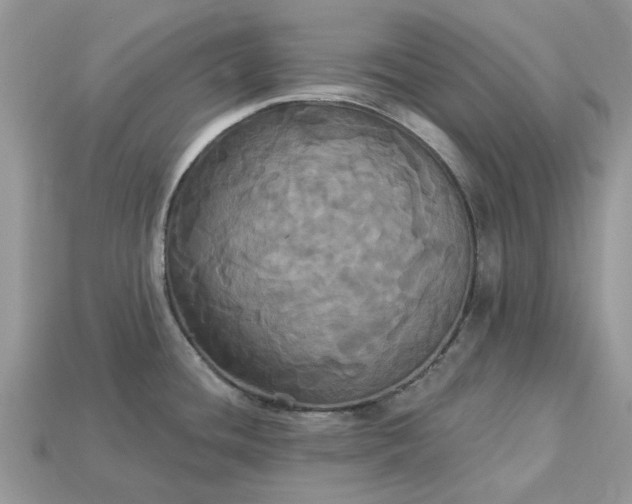 X0000113051436200909101930