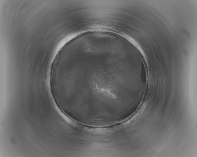 X0000113051437200909101930