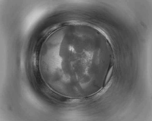 X0000113051438200909101930